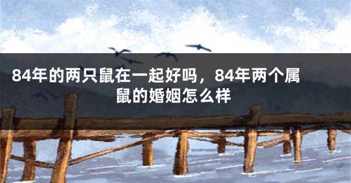 84年的两只鼠在一起好吗，84年两个属鼠的婚姻怎么样