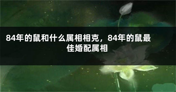 84年的鼠和什么属相相克，84年的鼠最佳婚配属相