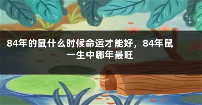 84年的鼠什么时候命运才能好，84年鼠一生中哪年最旺