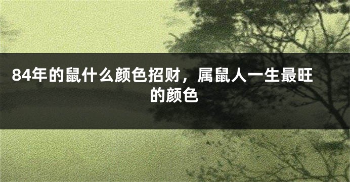 84年的鼠什么颜色招财，属鼠人一生最旺的颜色