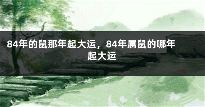 84年的鼠那年起大运，84年属鼠的哪年起大运