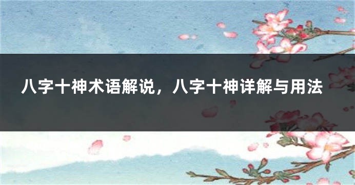 八字十神术语解说，八字十神详解与用法
