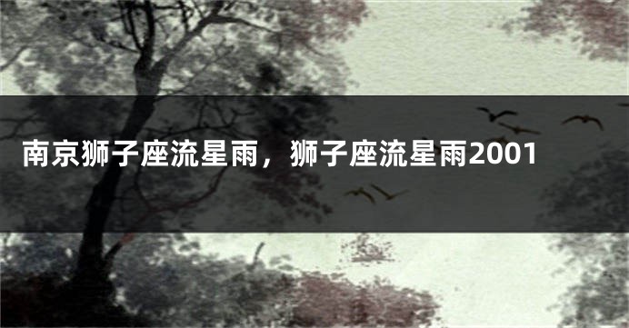 南京狮子座流星雨，狮子座流星雨2001