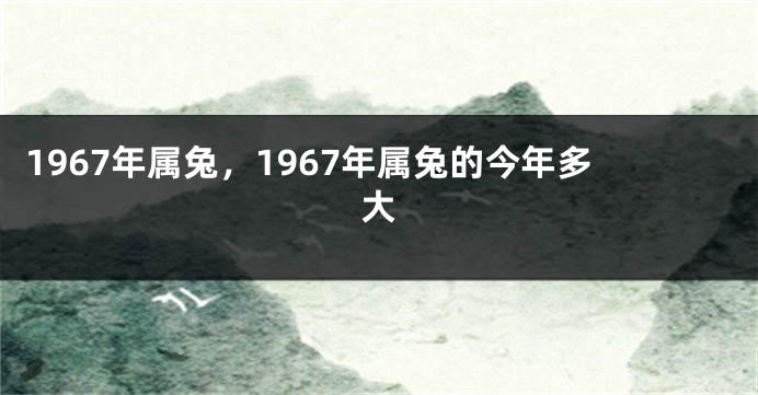 1967年属兔，1967年属兔的今年多大
