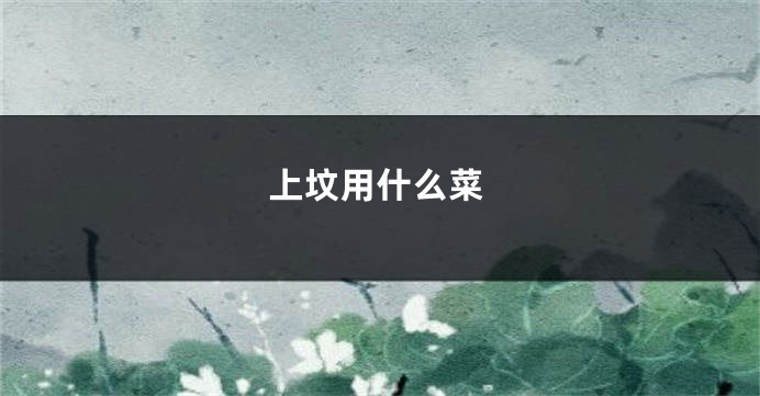 上坟用什么菜