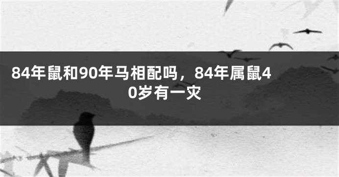 84年鼠和90年马相配吗，84年属鼠40岁有一灾