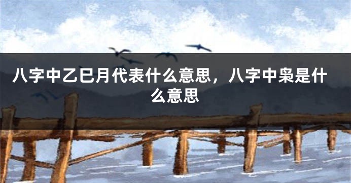 八字中乙巳月代表什么意思，八字中枭是什么意思