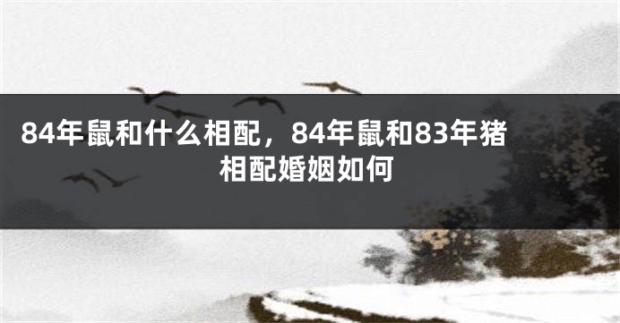 84年鼠和什么相配,84年鼠和83年猪相配婚姻如何