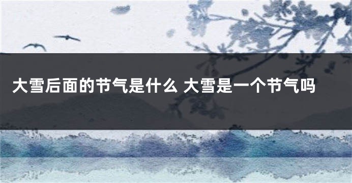 大雪后面的节气是什么 大雪是一个节气吗