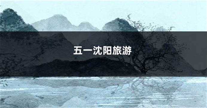 五一沈阳旅游