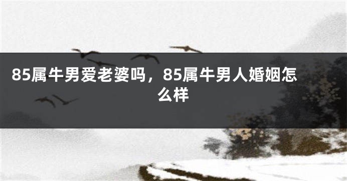 85属牛男爱老婆吗，85属牛男人婚姻怎么样
