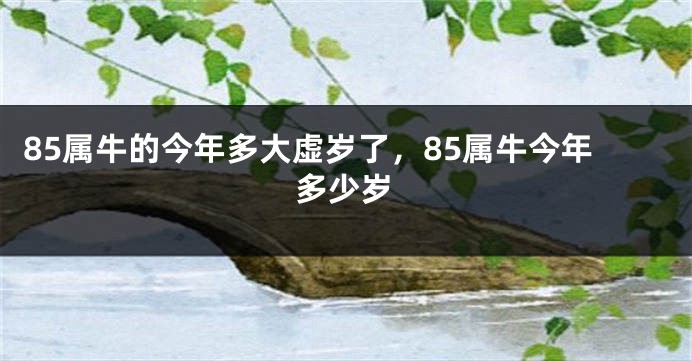 85属牛的今年多大虚岁了，85属牛今年多少岁