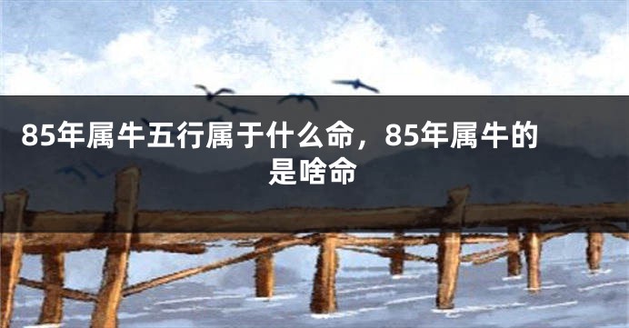 85年属牛五行属于什么命，85年属牛的是啥命