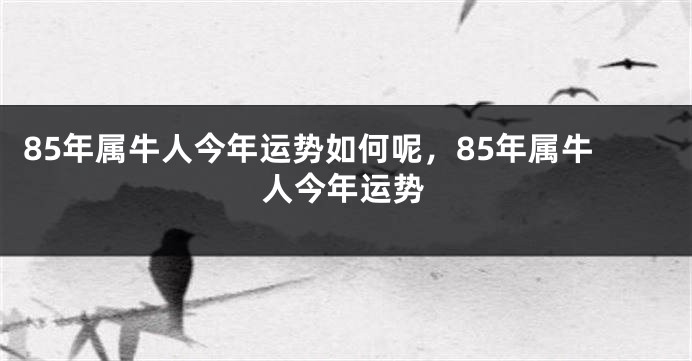 85年属牛人今年运势如何呢，85年属牛人今年运势