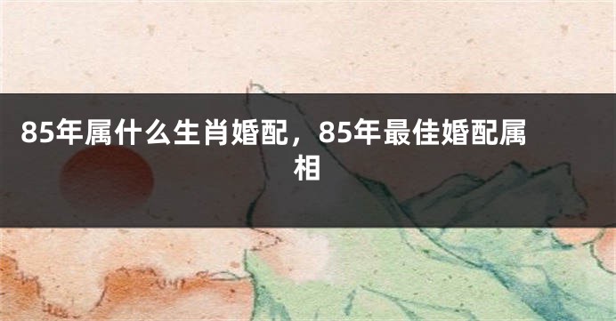 85年属什么生肖婚配，85年最佳婚配属相