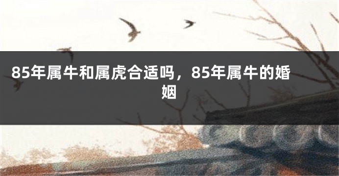 85年属牛和属虎合适吗，85年属牛的婚姻