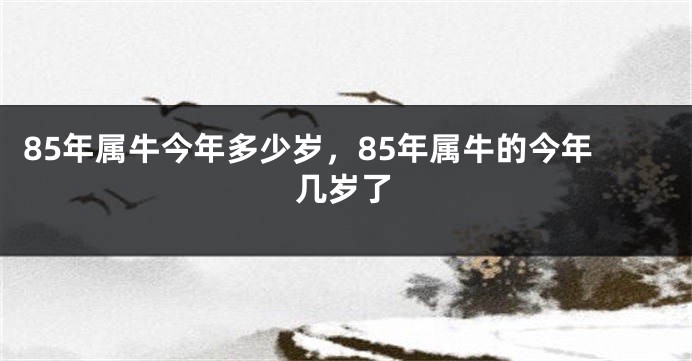 85年属牛今年多少岁，85年属牛的今年几岁了