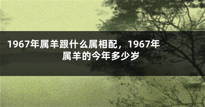1967年属羊跟什么属相配，1967年属羊的今年多少岁
