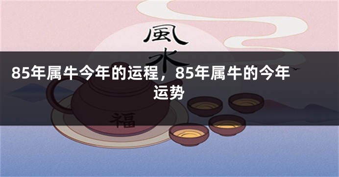 85年属牛今年的运程，85年属牛的今年运势