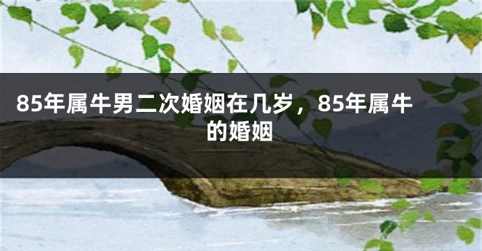 85年属牛男二次婚姻在几岁，85年属牛的婚姻
