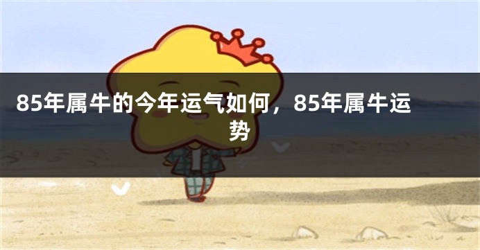 85年属牛的今年运气如何,85年属牛运势