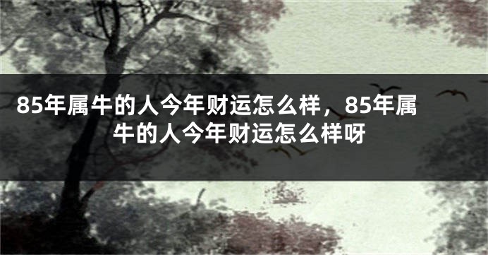 85年属牛的人今年财运怎么样，85年属牛的人今年财运怎么样呀