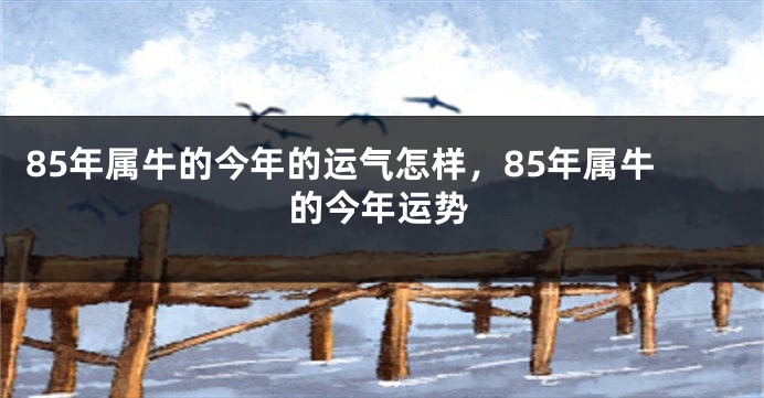 85年属牛的今年的运气怎样，85年属牛的今年运势