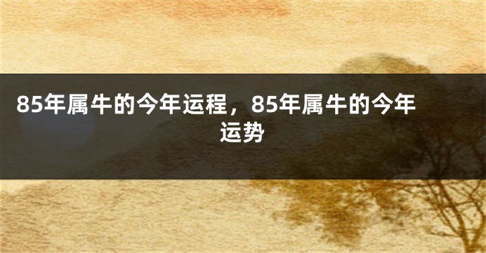 85年属牛的今年运程，85年属牛的今年运势