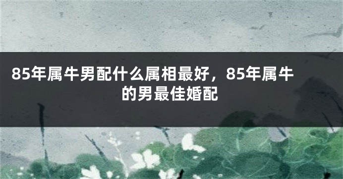85年属牛男配什么属相最好，85年属牛的男最佳婚配