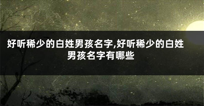 好听稀少的白姓男孩名字,好听稀少的白姓男孩名字有哪些
