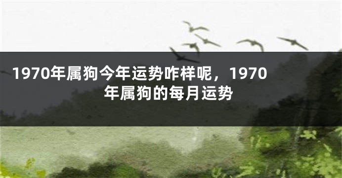 1970年属狗今年运势咋样呢，1970年属狗的每月运势