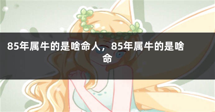 85年属牛的是啥命人，85年属牛的是啥命