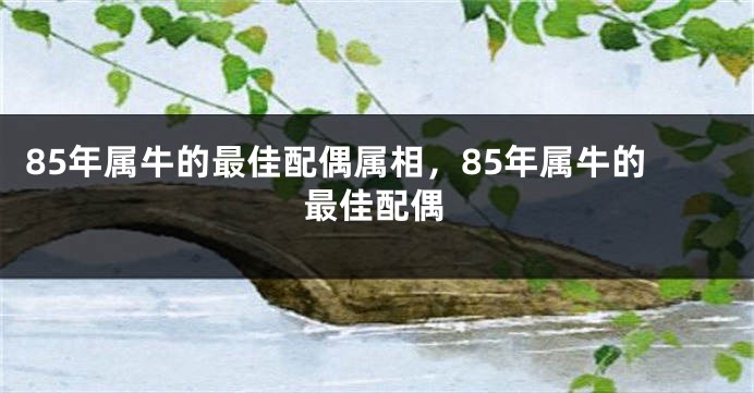 85年属牛的最佳配偶属相，85年属牛的最佳配偶