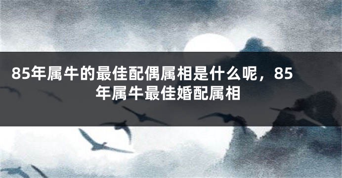 85年属牛的最佳配偶属相是什么呢，85年属牛最佳婚配属相