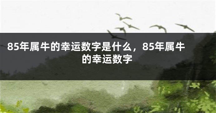 85年属牛的幸运数字是什么，85年属牛的幸运数字