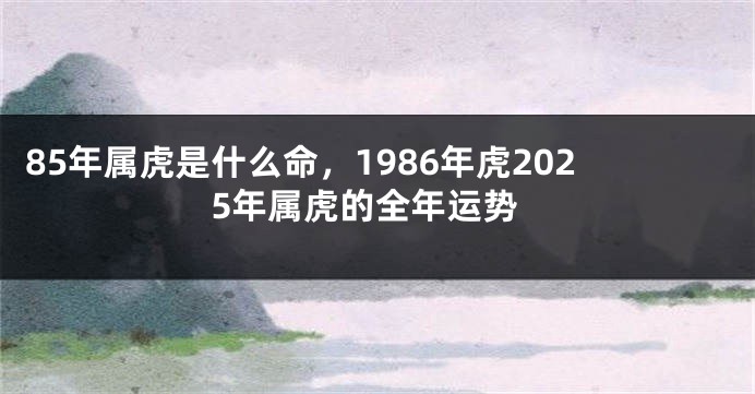 85年属虎是什么命，1986年虎2025年属虎的全年运势
