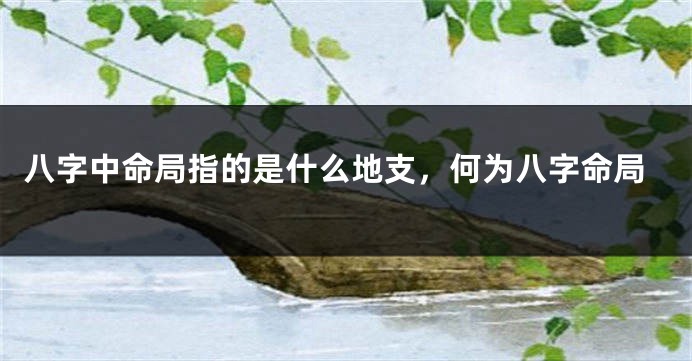 八字中命局指的是什么地支，何为八字命局