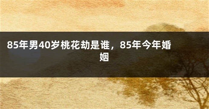 85年男40岁桃花劫是谁，85年今年婚姻
