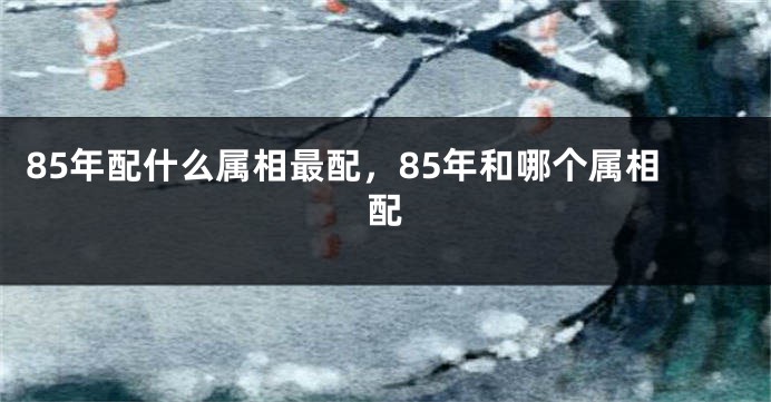 85年配什么属相最配，85年和哪个属相配