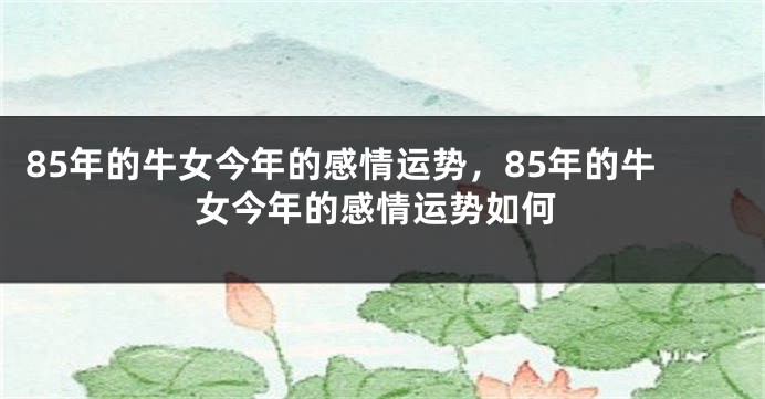85年的牛女今年的感情运势，85年的牛女今年的感情运势如何