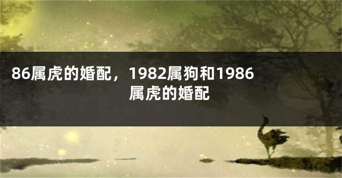 86属虎的婚配，1982属狗和1986属虎的婚配