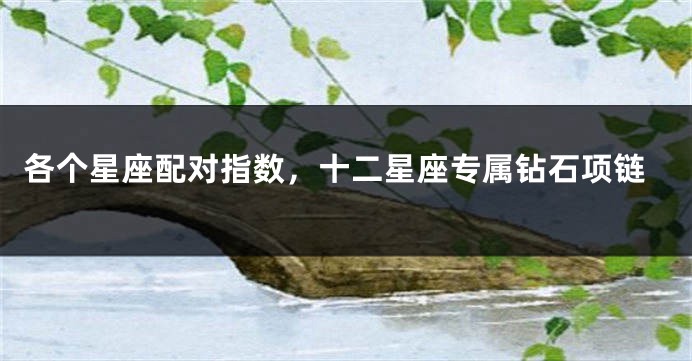 各个星座配对指数，十二星座专属钻石项链