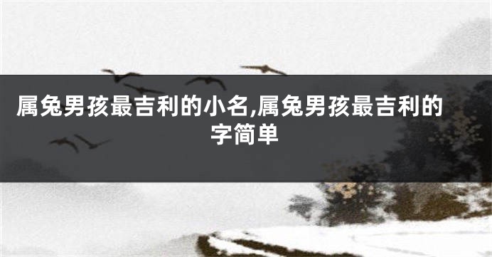 属兔男孩最吉利的小名,属兔男孩最吉利的字简单