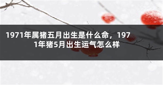 1971年属猪五月出生是什么命，1971年猪5月出生运气怎么样