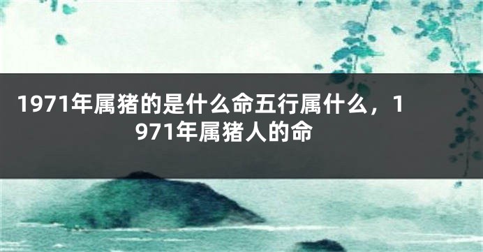 1971年属猪的是什么命五行属什么，1971年属猪人的命