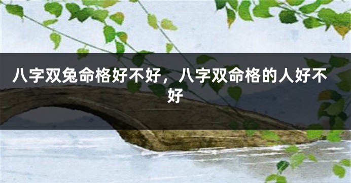 八字双兔命格好不好，八字双命格的人好不好