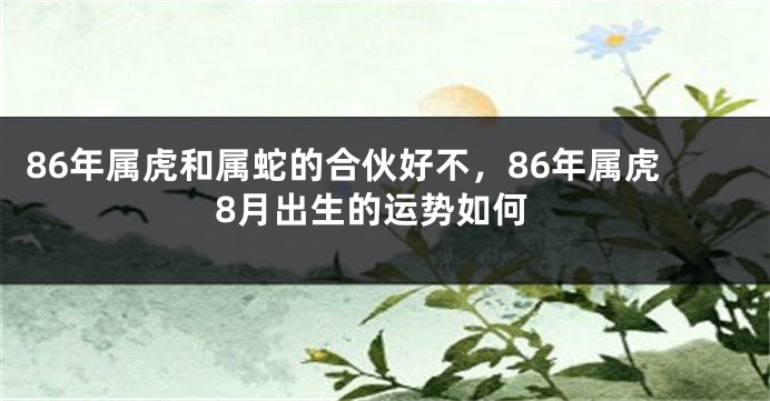 86年属虎和属蛇的合伙好不，86年属虎8月出生的运势如何