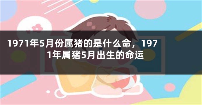 1971年5月份属猪的是什么命，1971年属猪5月出生的命运