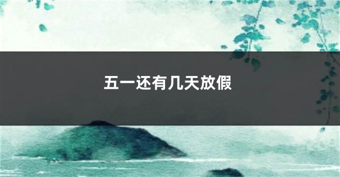 五一还有几天放假