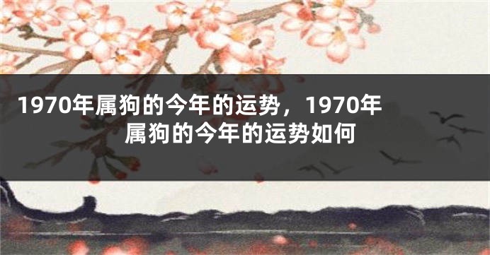1970年属狗的今年的运势，1970年属狗的今年的运势如何